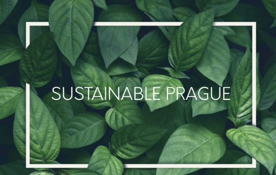 Tisková zpráva k výstavě Sustainable Prague