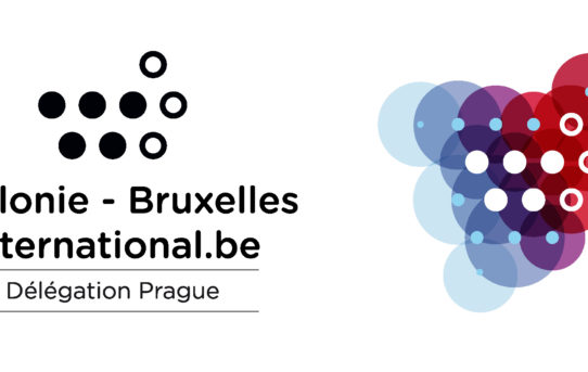 Representation of Wallonia – Brussels