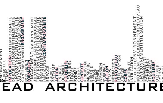 LEAD ARCHITECTURE