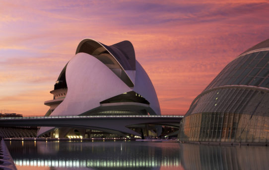 (Čeština) Palau de les Arts Reina Sofía / Santiago Calatrava