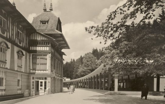 Velká a Malá kolonáda, hala Vincentky, cukrárna, Vyšetřovací ústav, restaurace a plnírna minerální vody